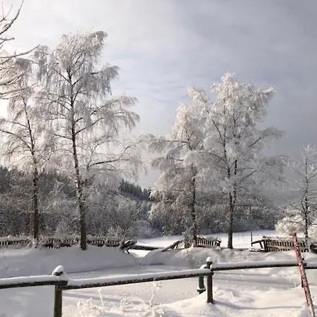 Waldhof The Tann Pool - 6 Br 别墅 *